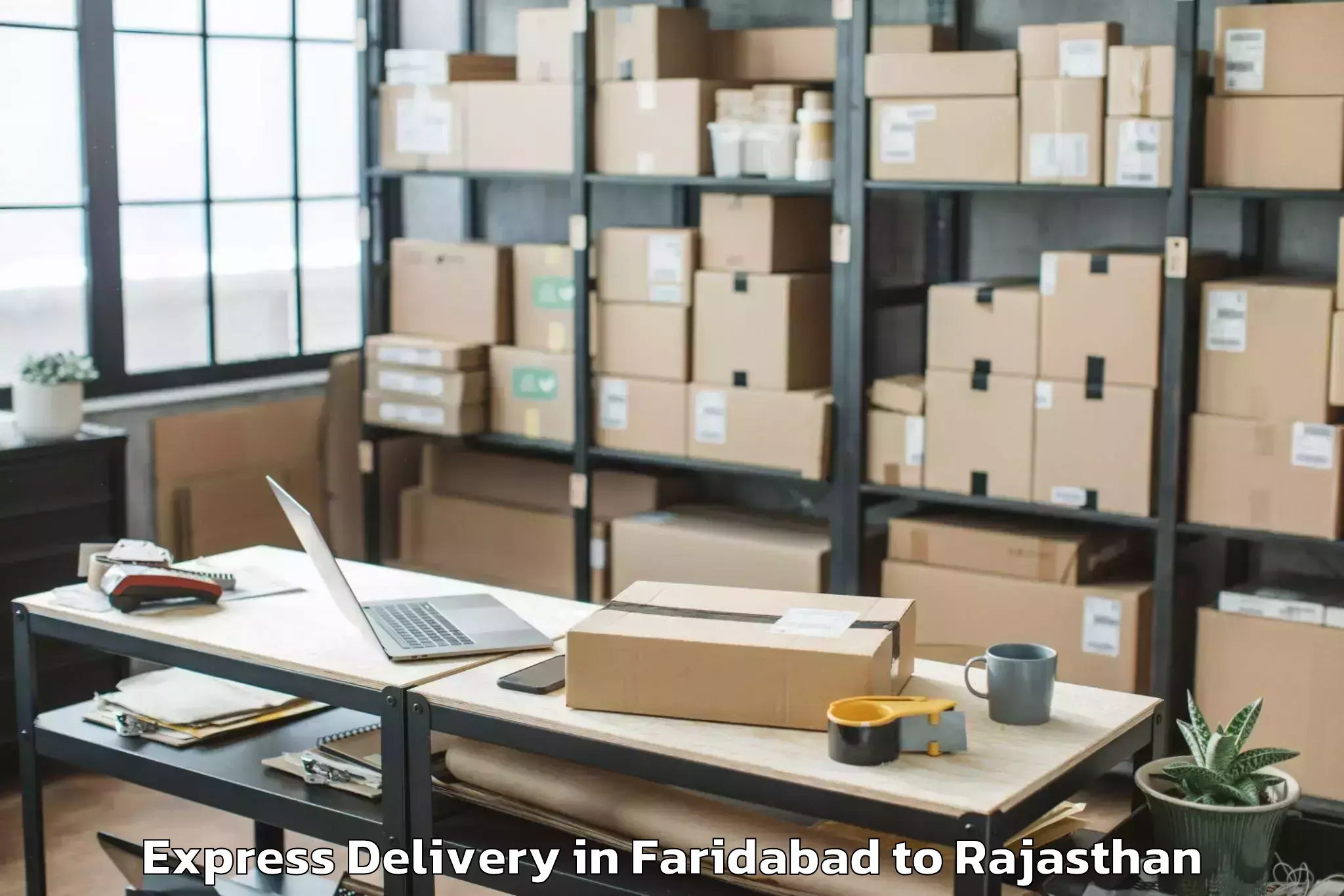 Book Your Faridabad to Hindaun Express Delivery Today